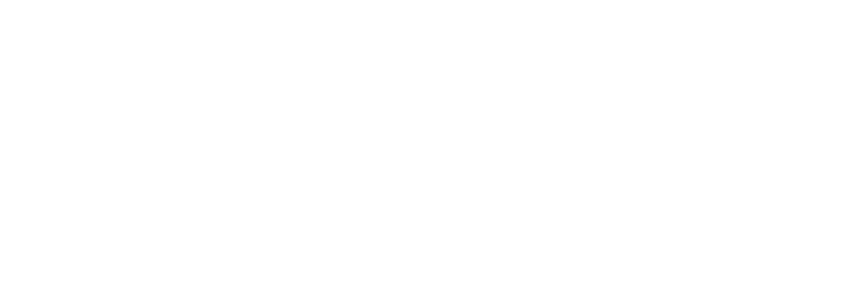 PKNIC